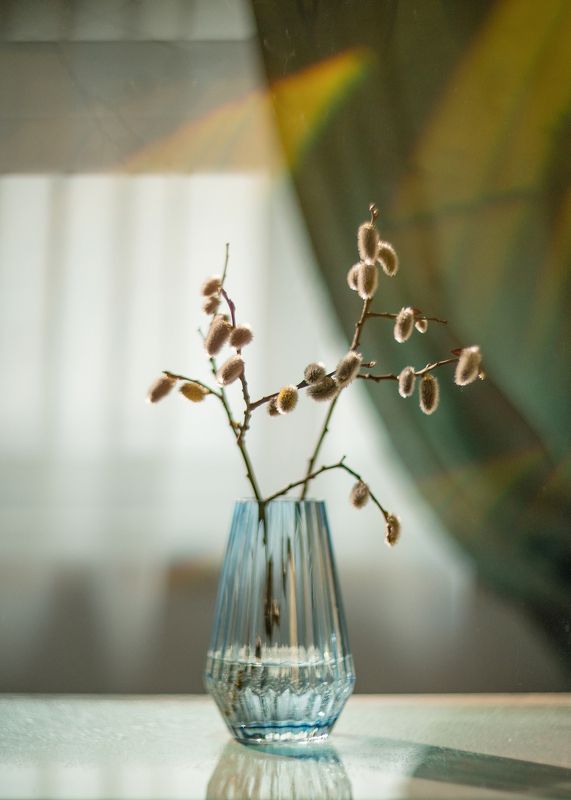 Натюрморт верба  Верба фото превью