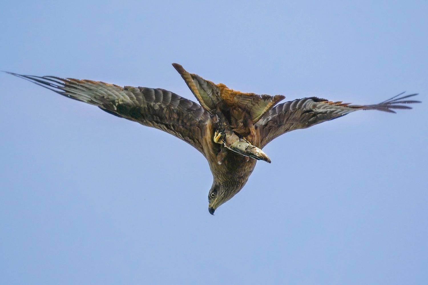 , Тябин Владислав