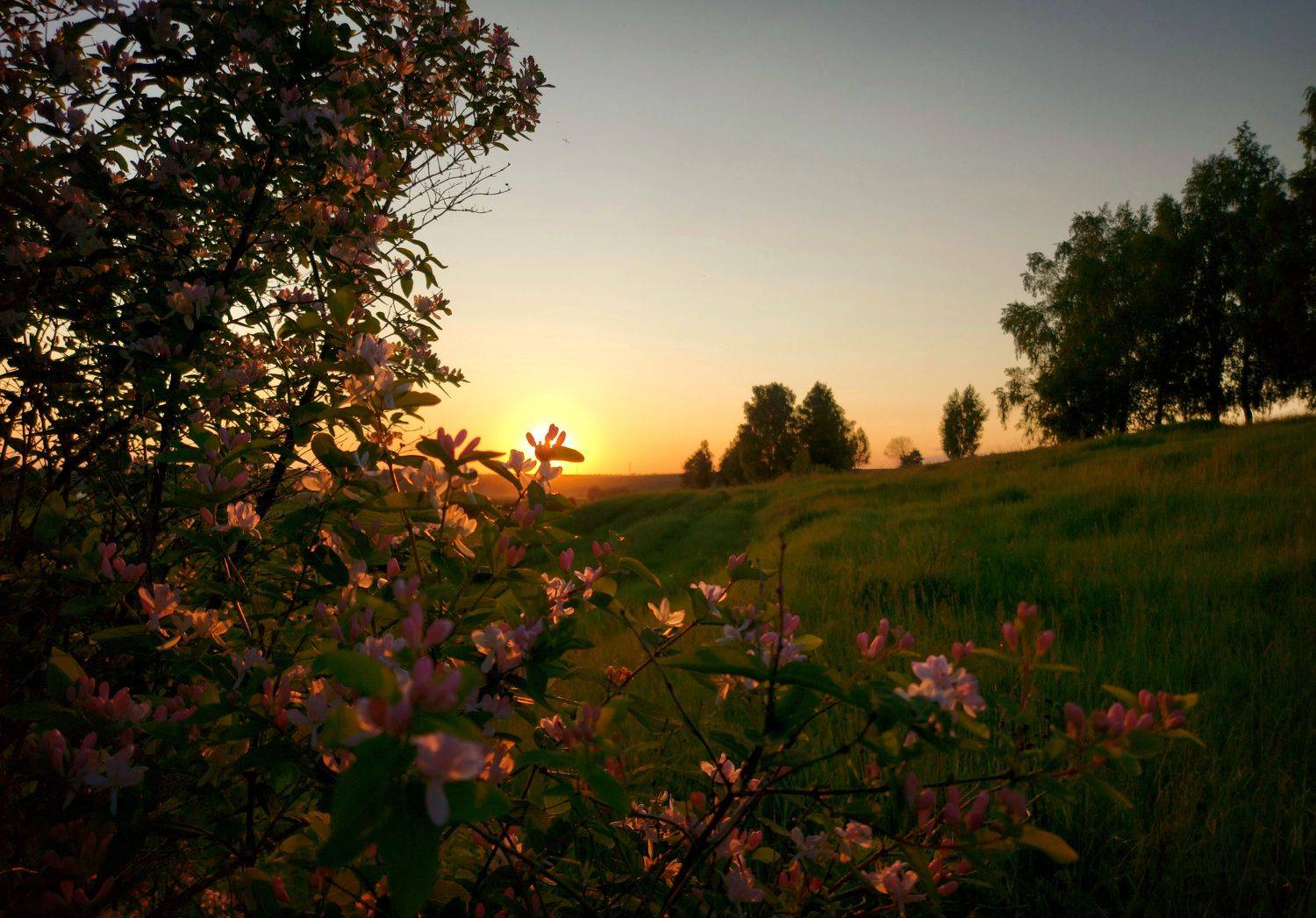 деревня, природа, закат, май, весна, пейзаж, небо, Валерий Савостьянов