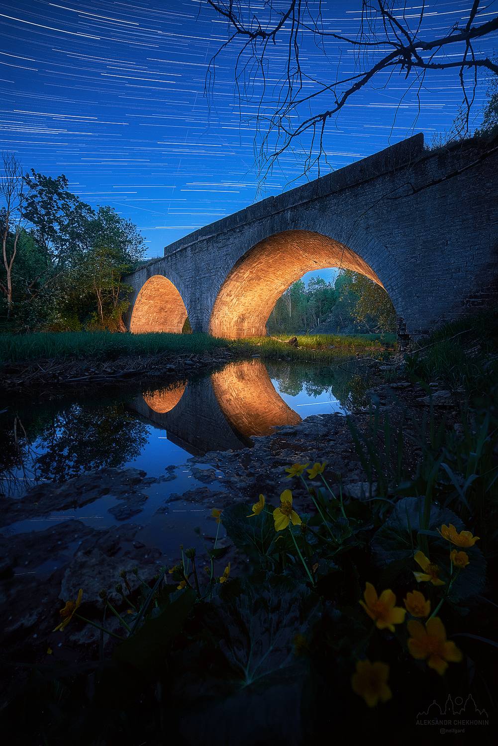 , Чехонин Александр