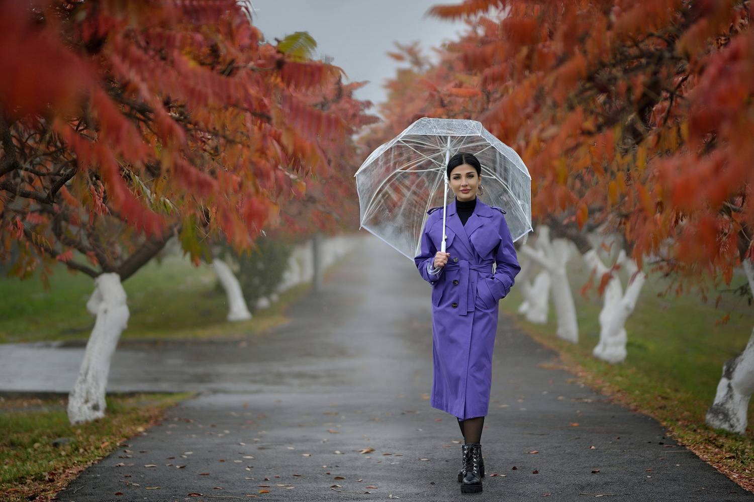 , Владимир Кулаков