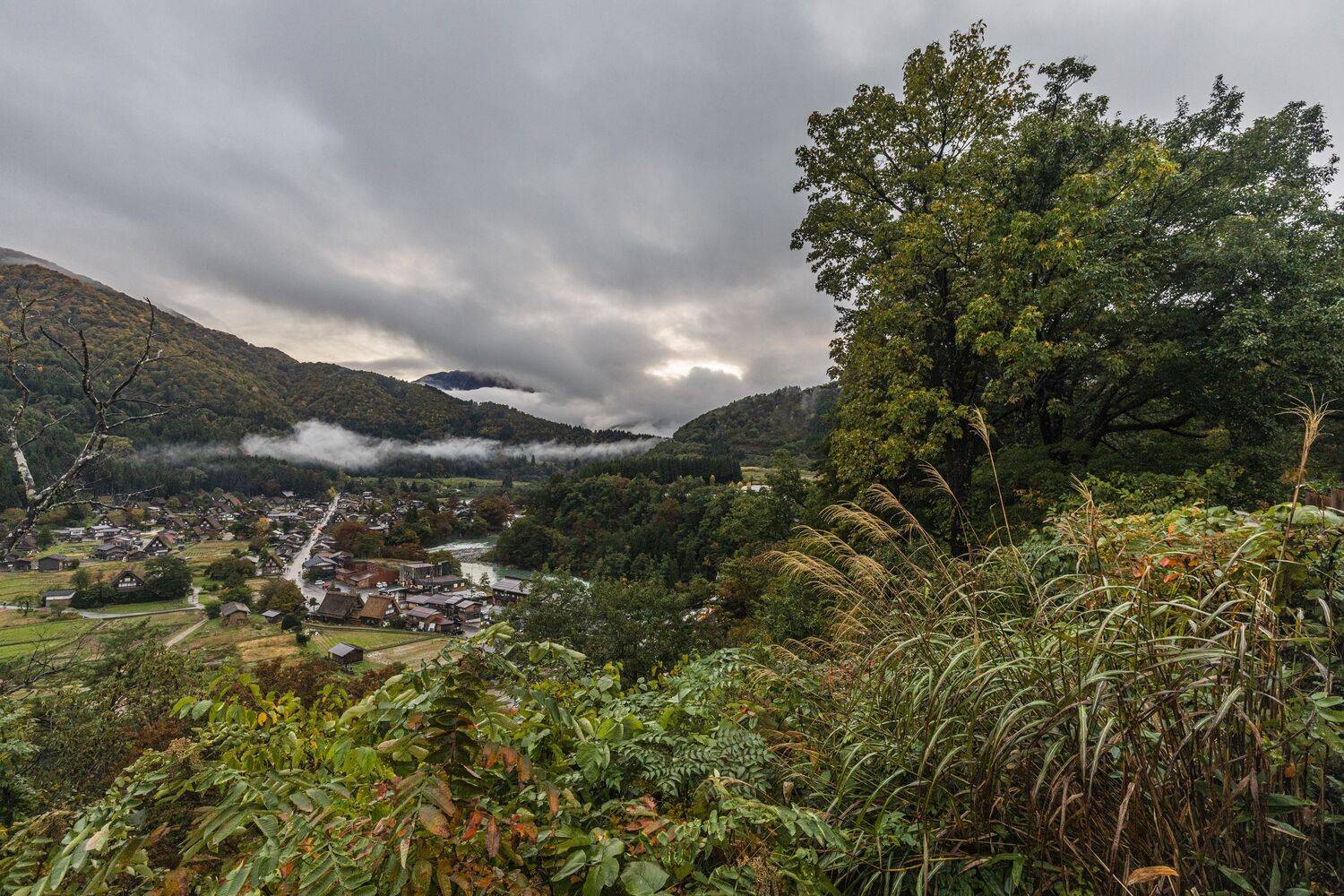 Япония , Сергей