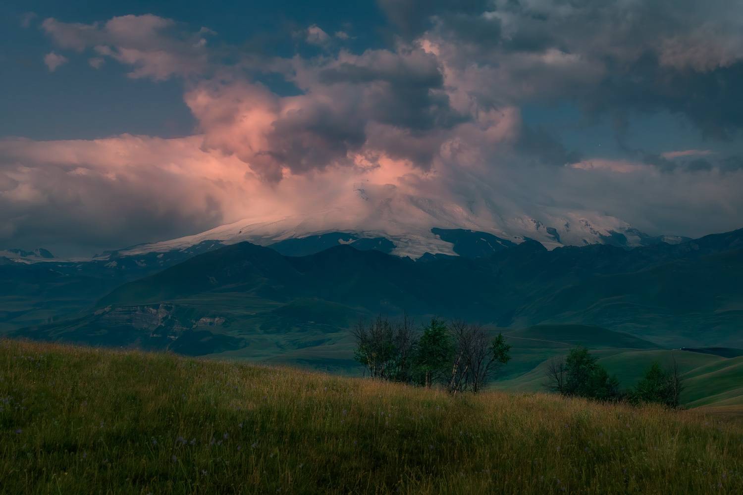 , Алиева Татьяна