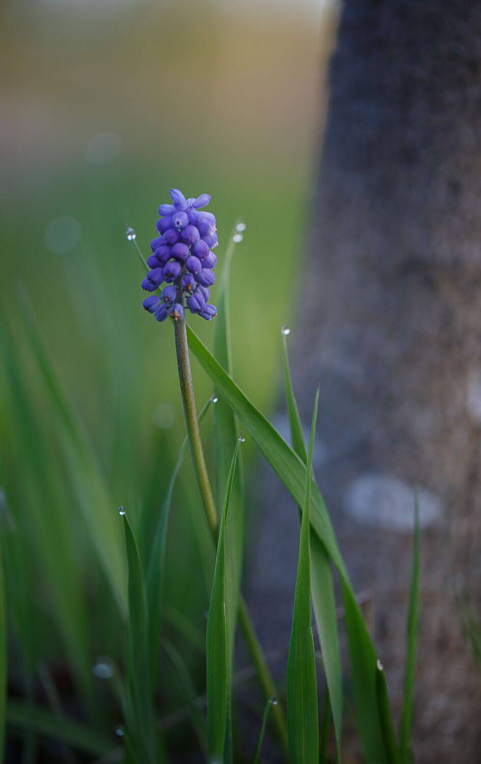 май, Смоленская обл., Зеленько Дмитрий