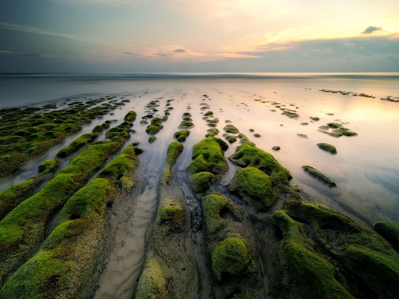 Green reef фото превью