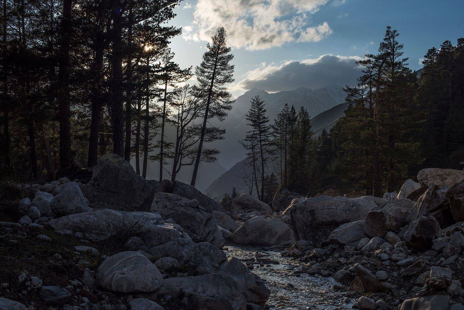 , Хасан Журтов