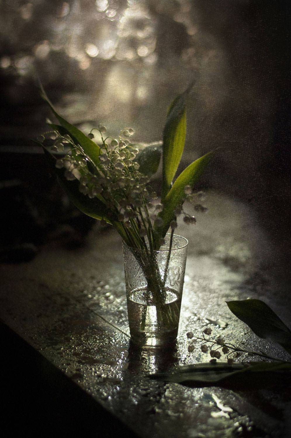 ландыши, Буглак Инна