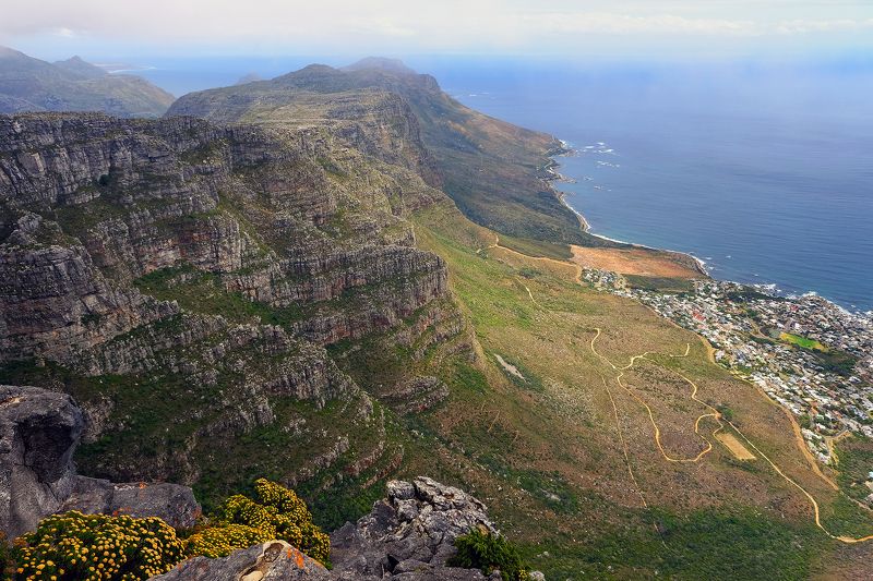 Table Mount фото превью