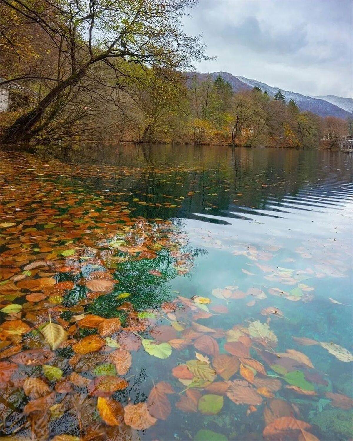 , Петр Косых