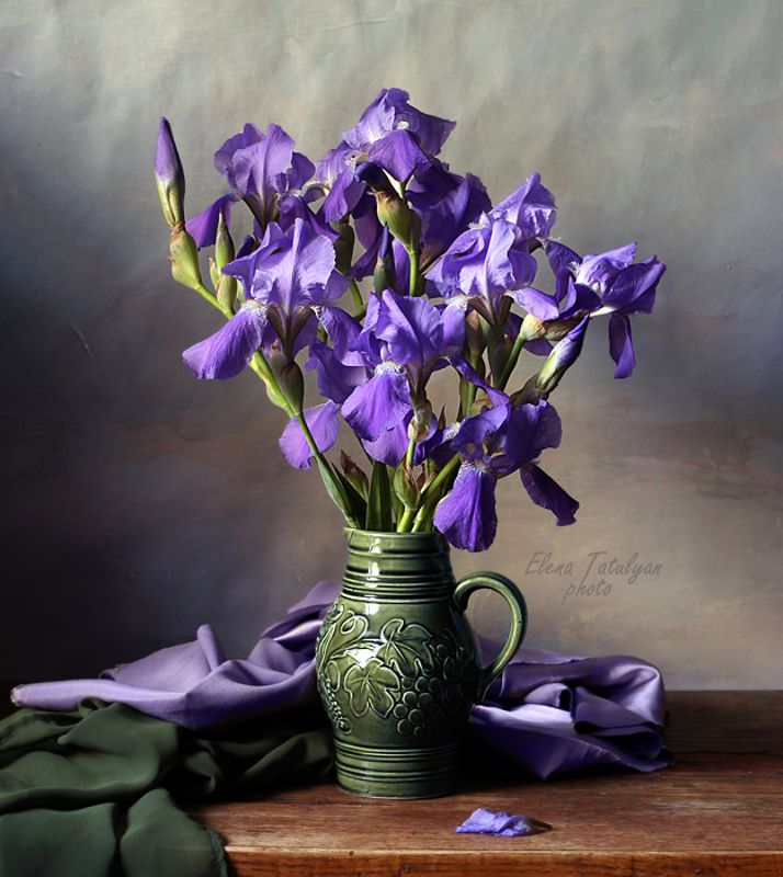 ирисы цветы Ирисы фото превью
