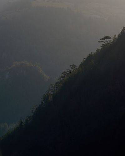 Заовине, Сербия