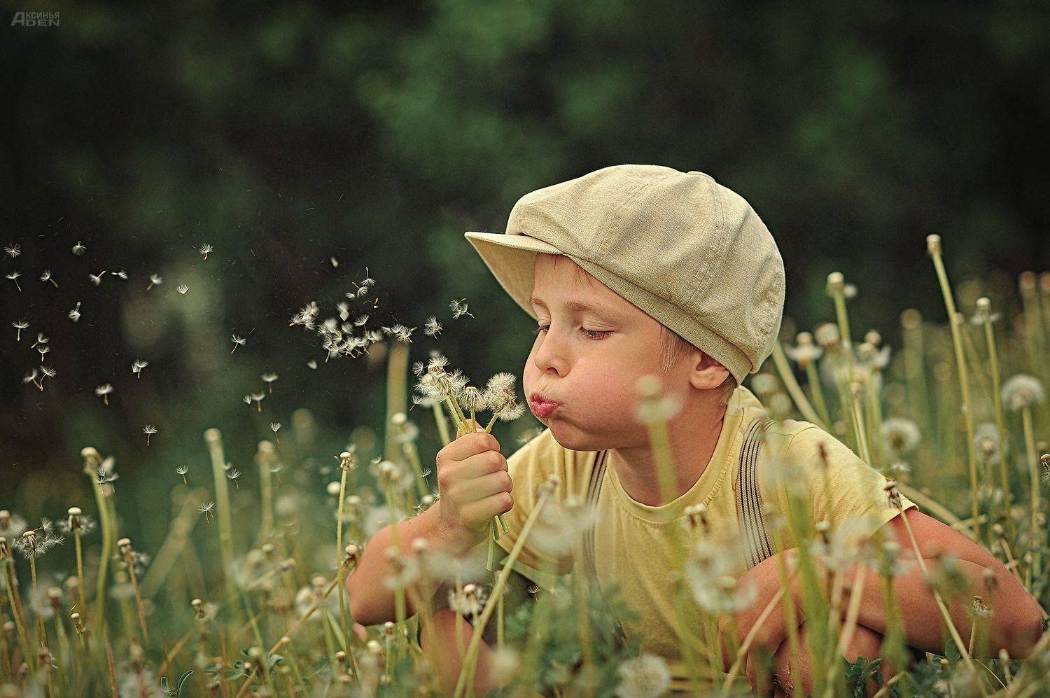 , Денисова Аксинья