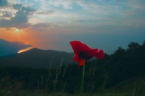 Восход на Ай-Петри