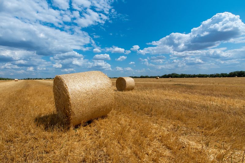 Autumn field фото превью