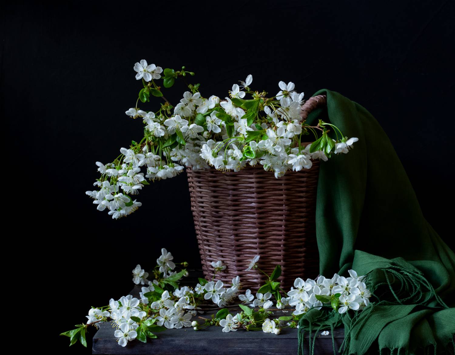 натюрморт, цветы, вишня, Оля