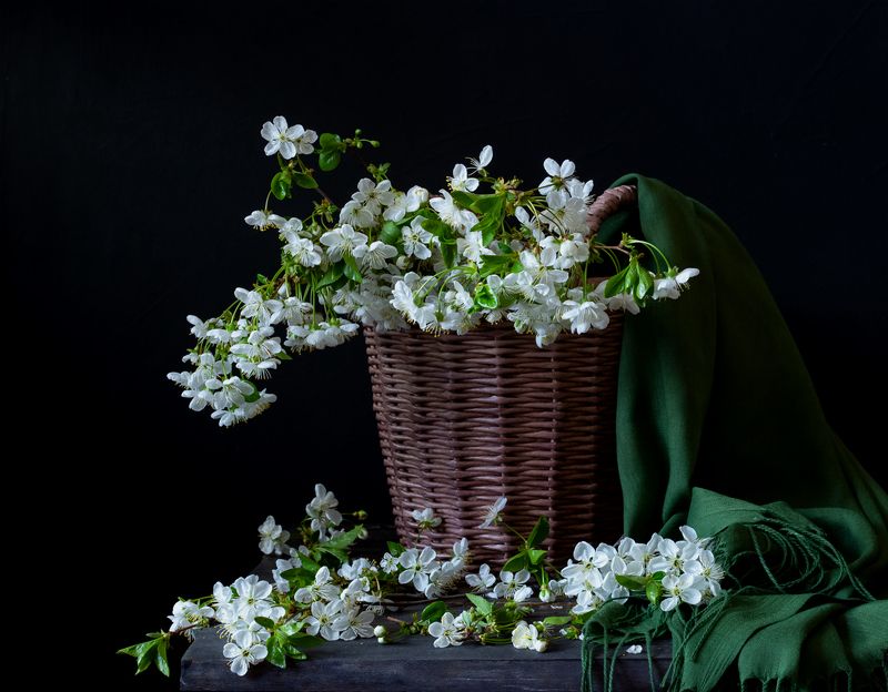 натюрморт, цветы, вишня Весна в корзине фото превью