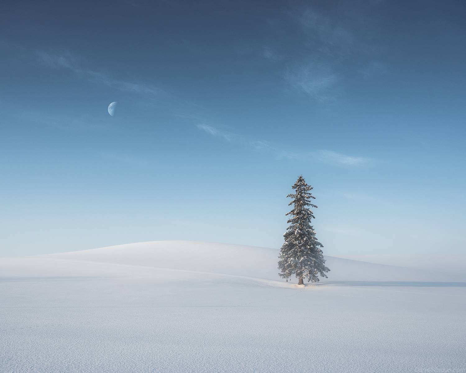 , Даниил Коржонов