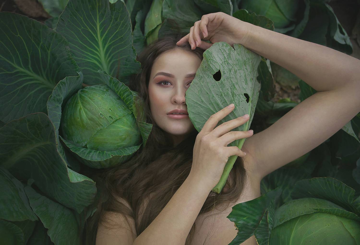 девушка  поле любовь солнце лето красота счастье мечты красавица фотография, Шепелева Татьяна