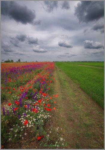 Крымский букет