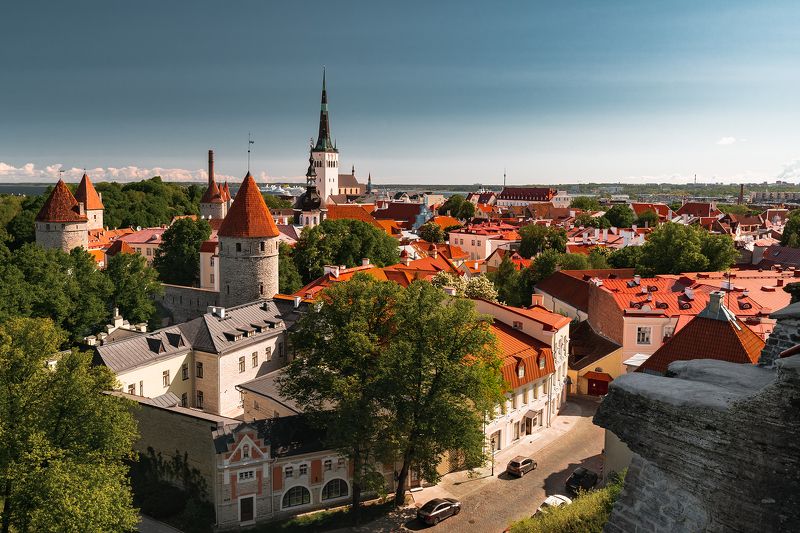 Tallin фото превью