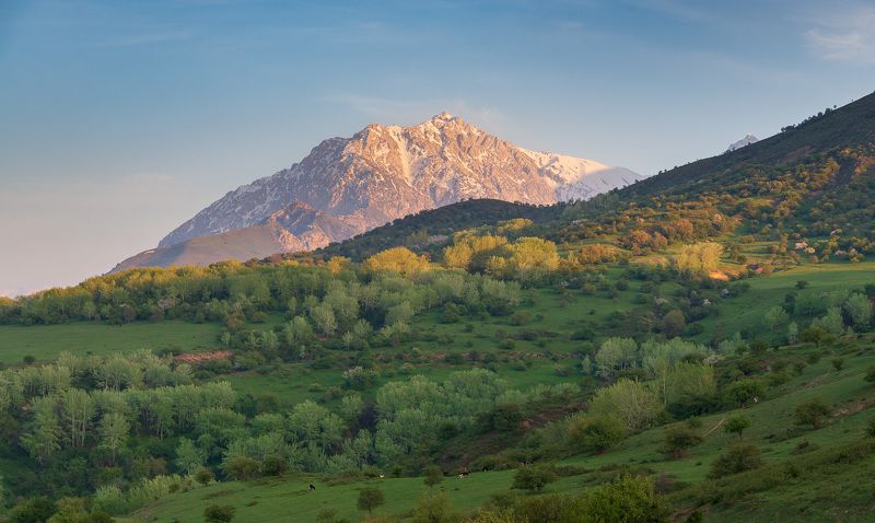 узбекистан, uzbekistan  фото превью