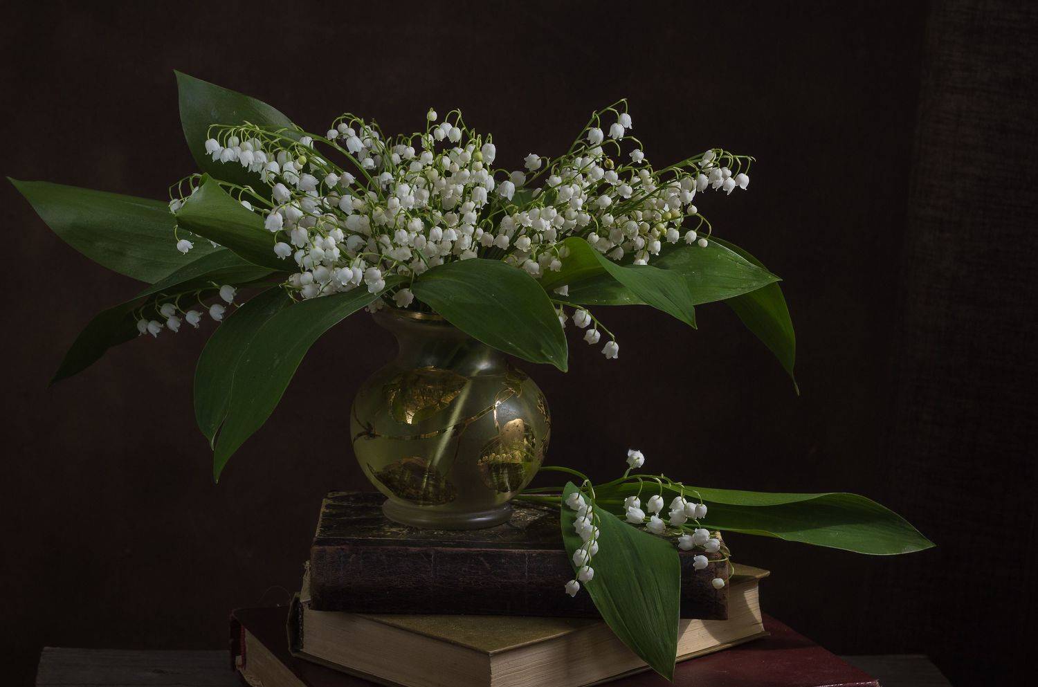 , Хвойнова Елена