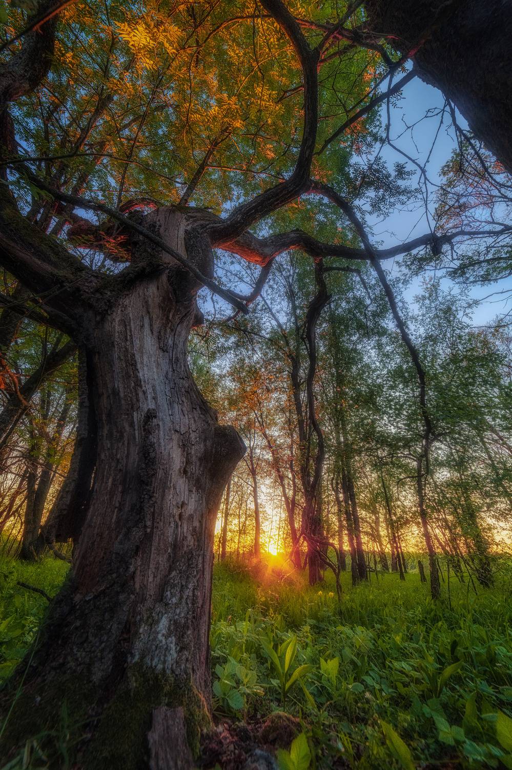 , Третьякова Анастасия