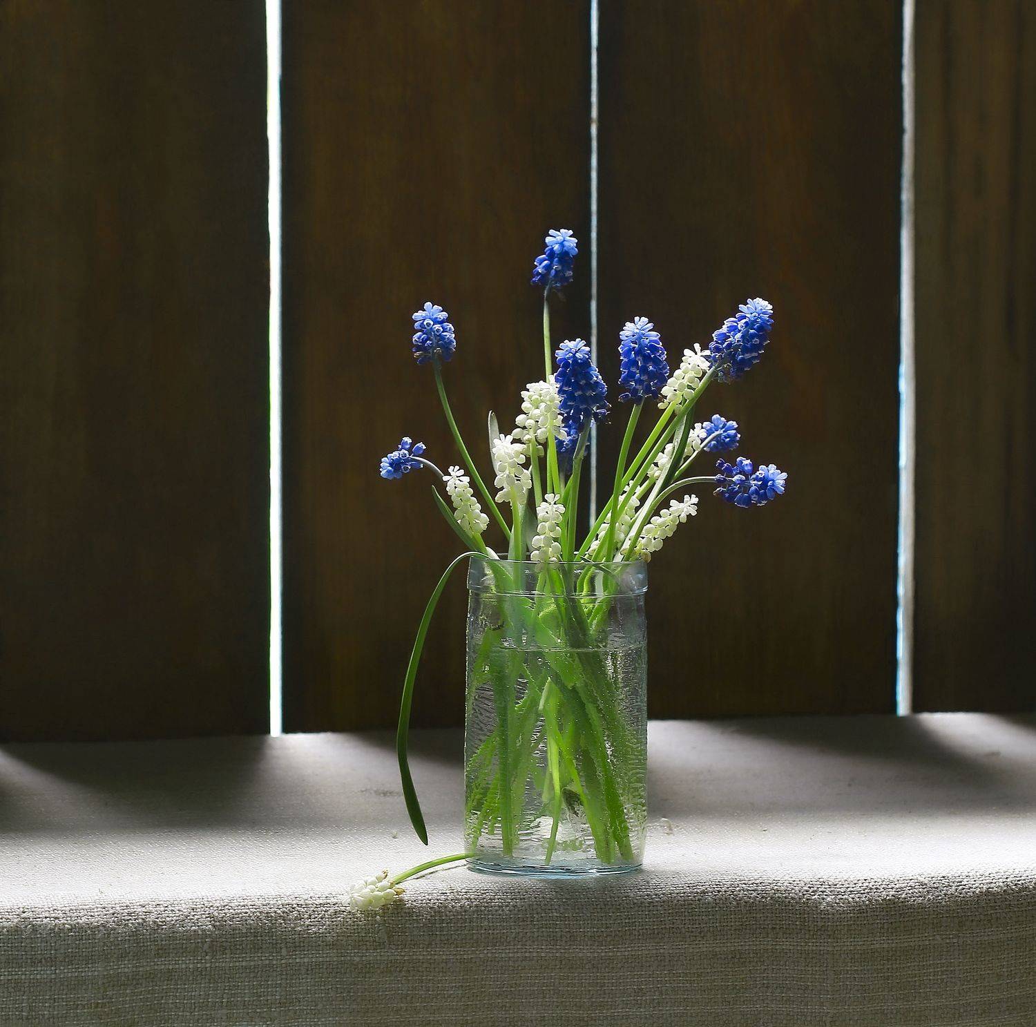 натюрморт, фотонатюрморт, весна, дача, цветы, мускарики, букетик, still life, stillifefoto, художественное фото, фотохудожник, наталья казанцева, Наталья Казанцева