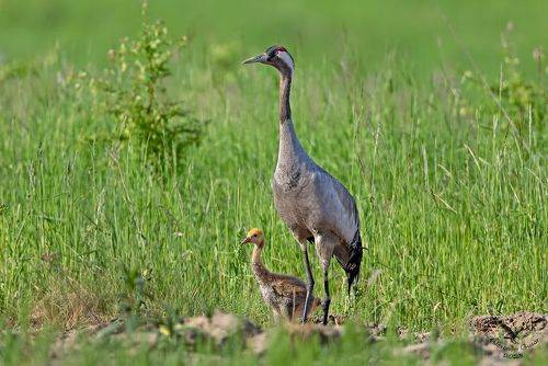 На прогулке.