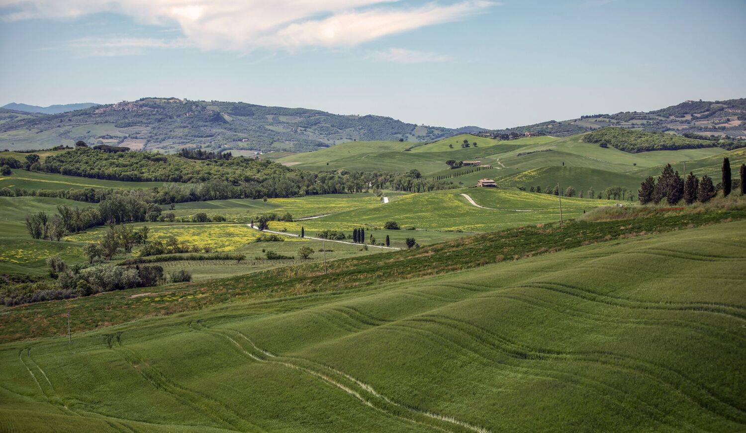 *****, Валентина Булкина