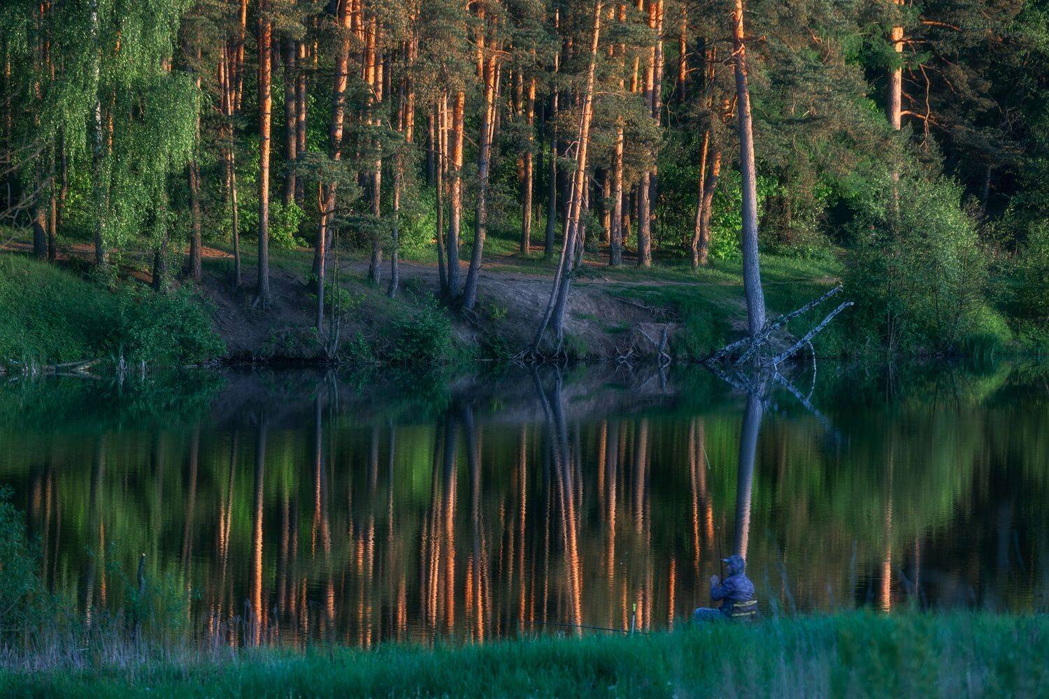 природа, отражение, пейзаж, Московская Область, рыбак, Мартыненко Дмитрий