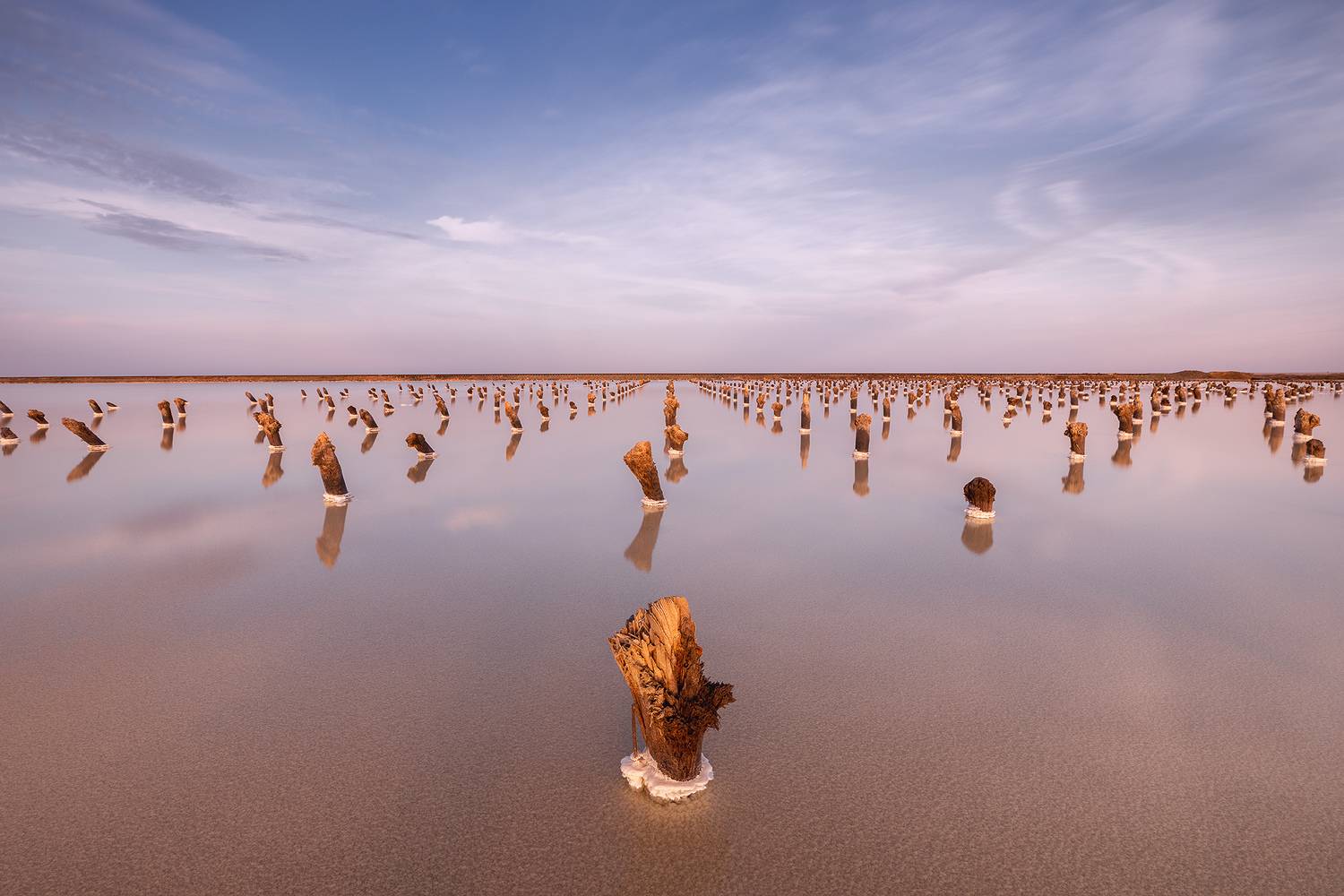 , Дмитрий Купрацевич