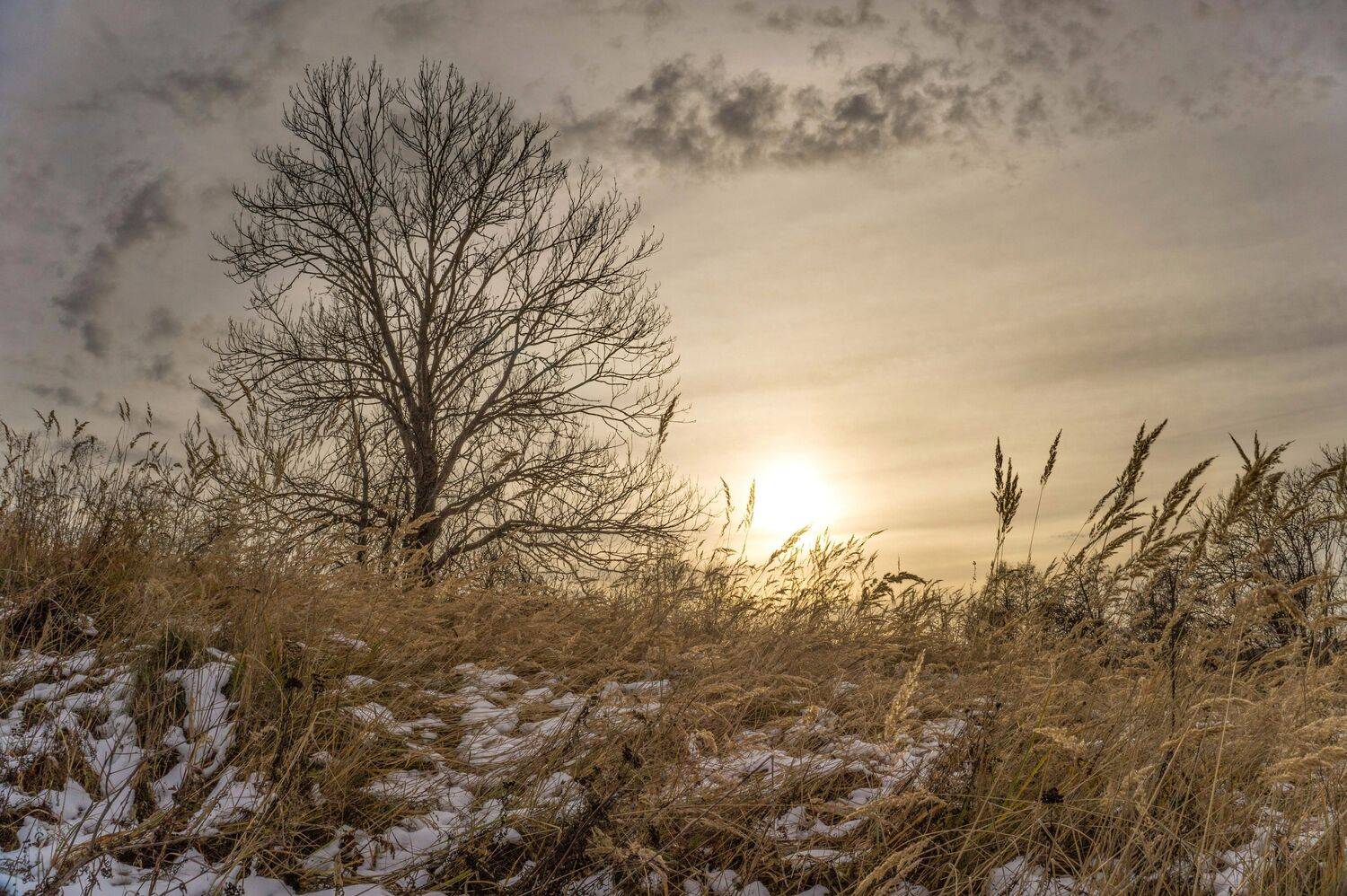 , Светлана Кондрашова