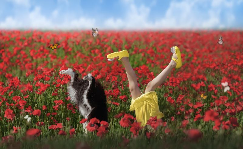 宠物 狗 创意 人宠  特立独行 фото превью