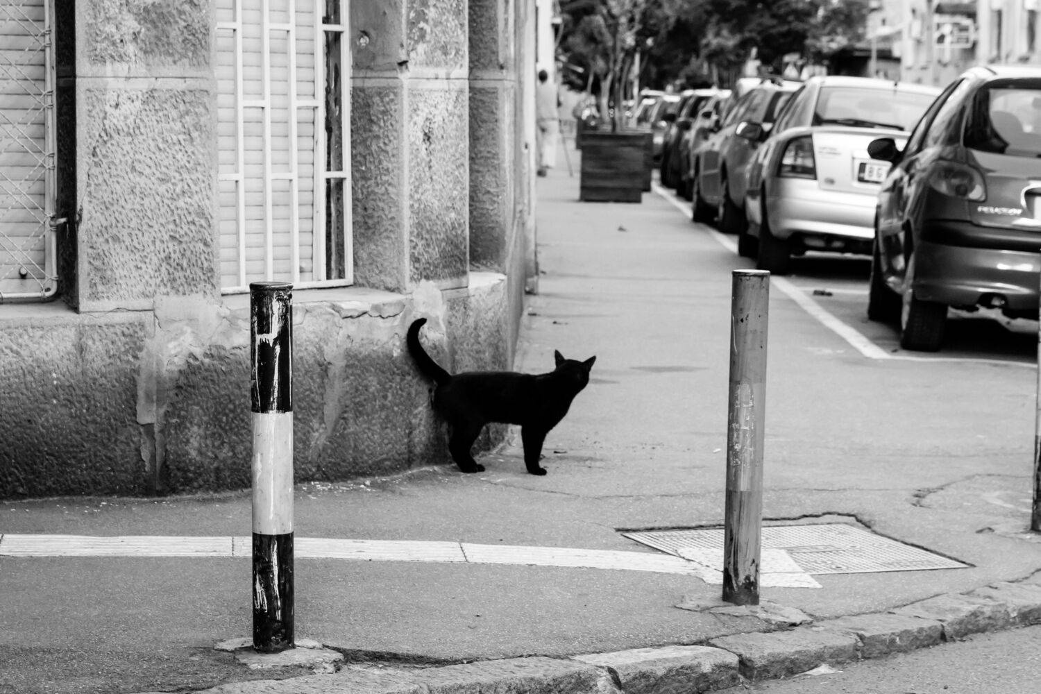 , Шилов Александр