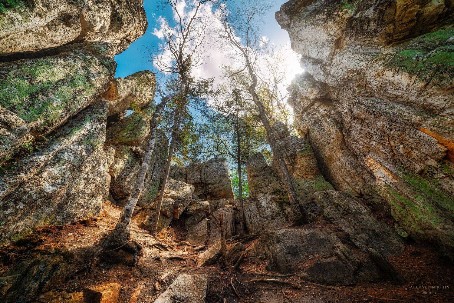 , Никитин Алексей