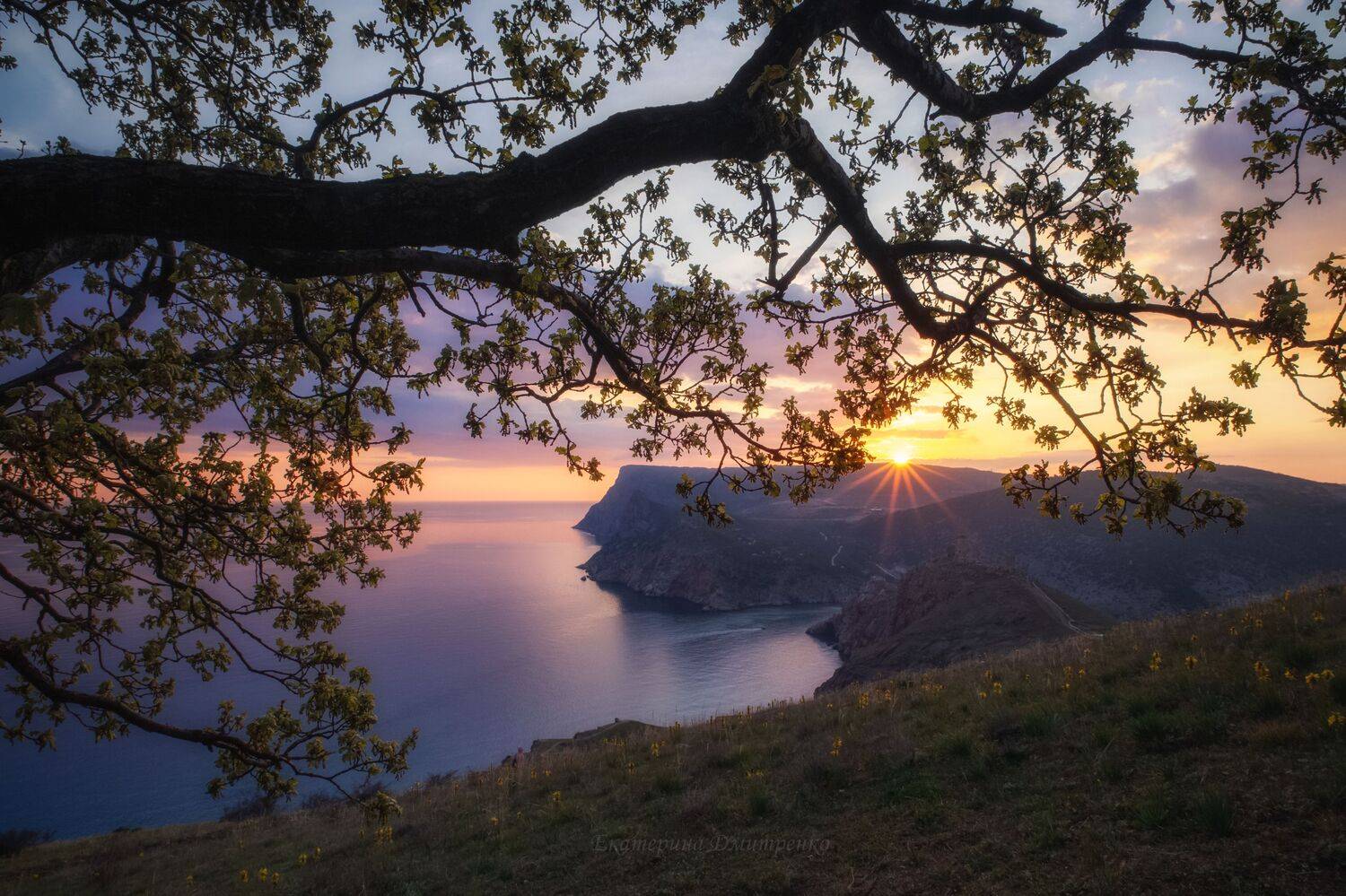 крым, севастополь, пейзаж, балаклава, природа, весна, закат, crimea, landscape, sunset, Дмитренко Екатерина