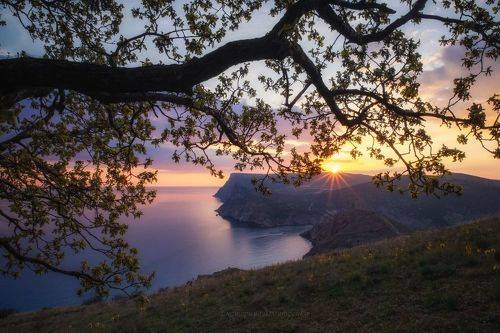 Последние лучи солнца