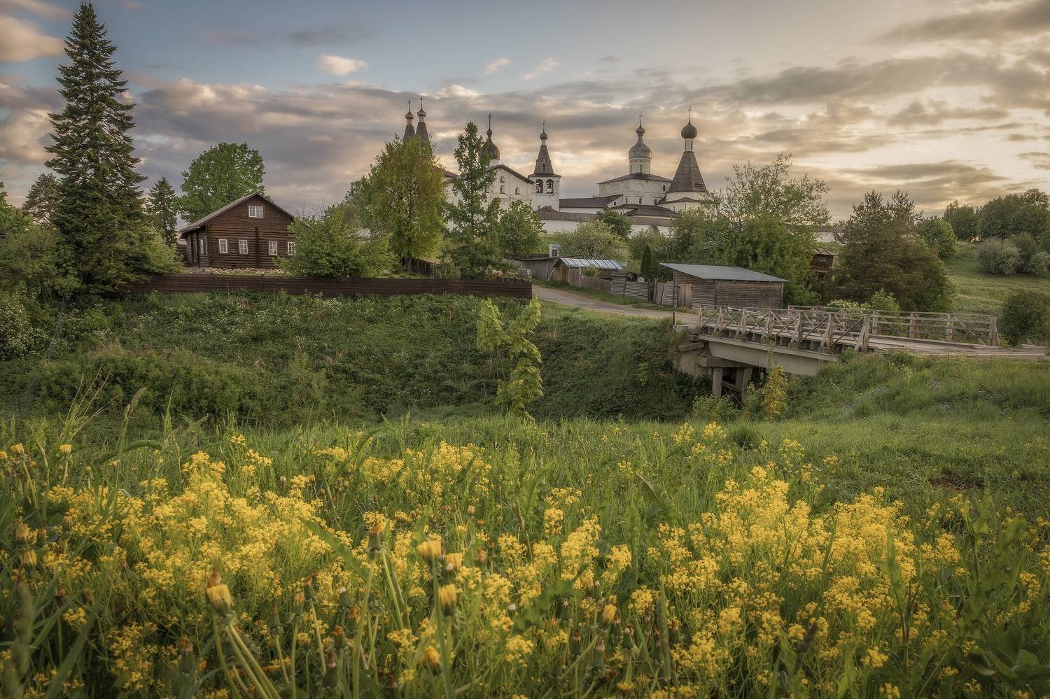 Вологодская область, Елена Гусева