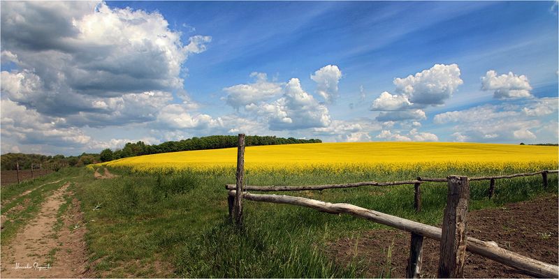 *** фото превью