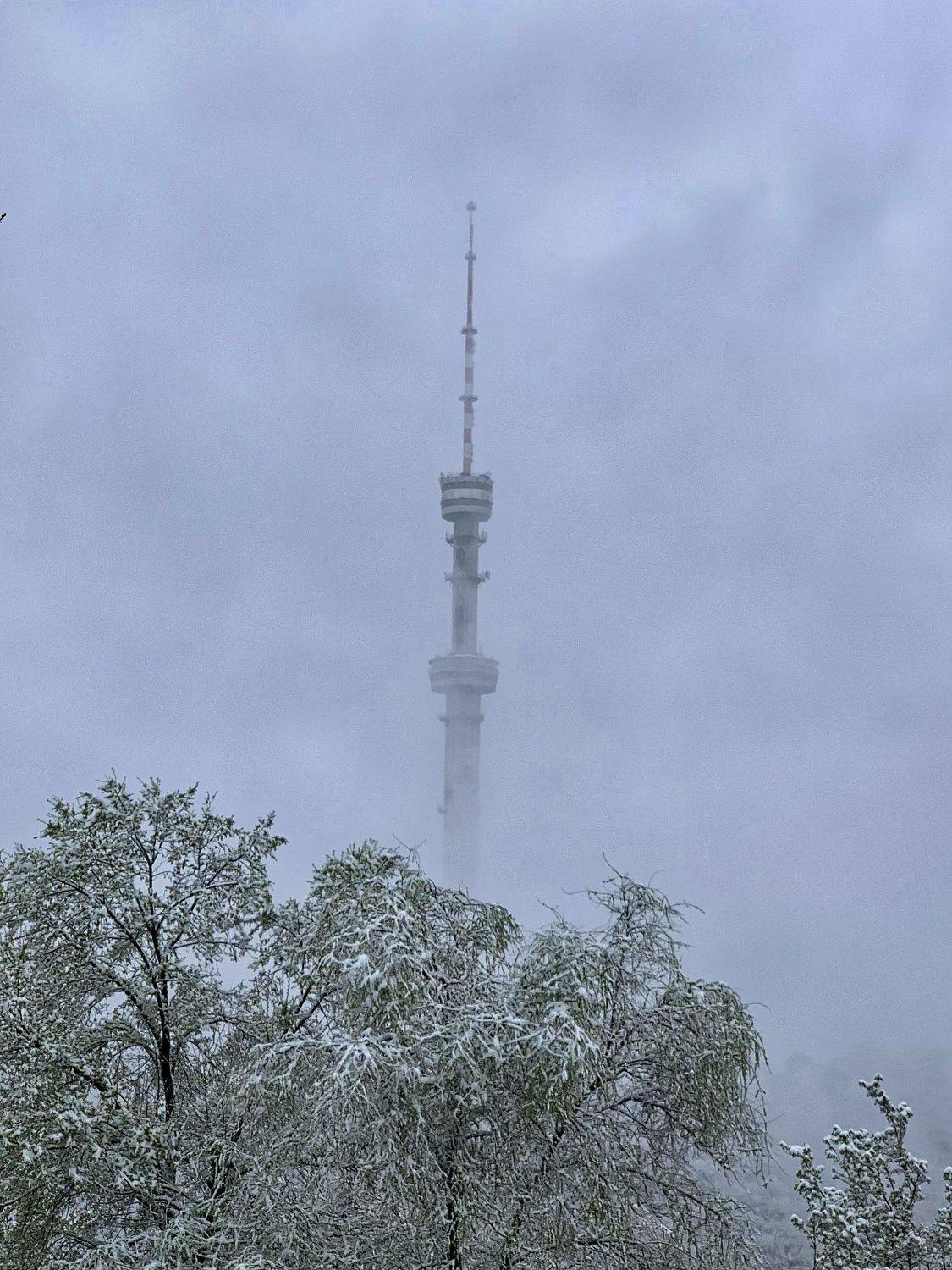 , Швец Павел