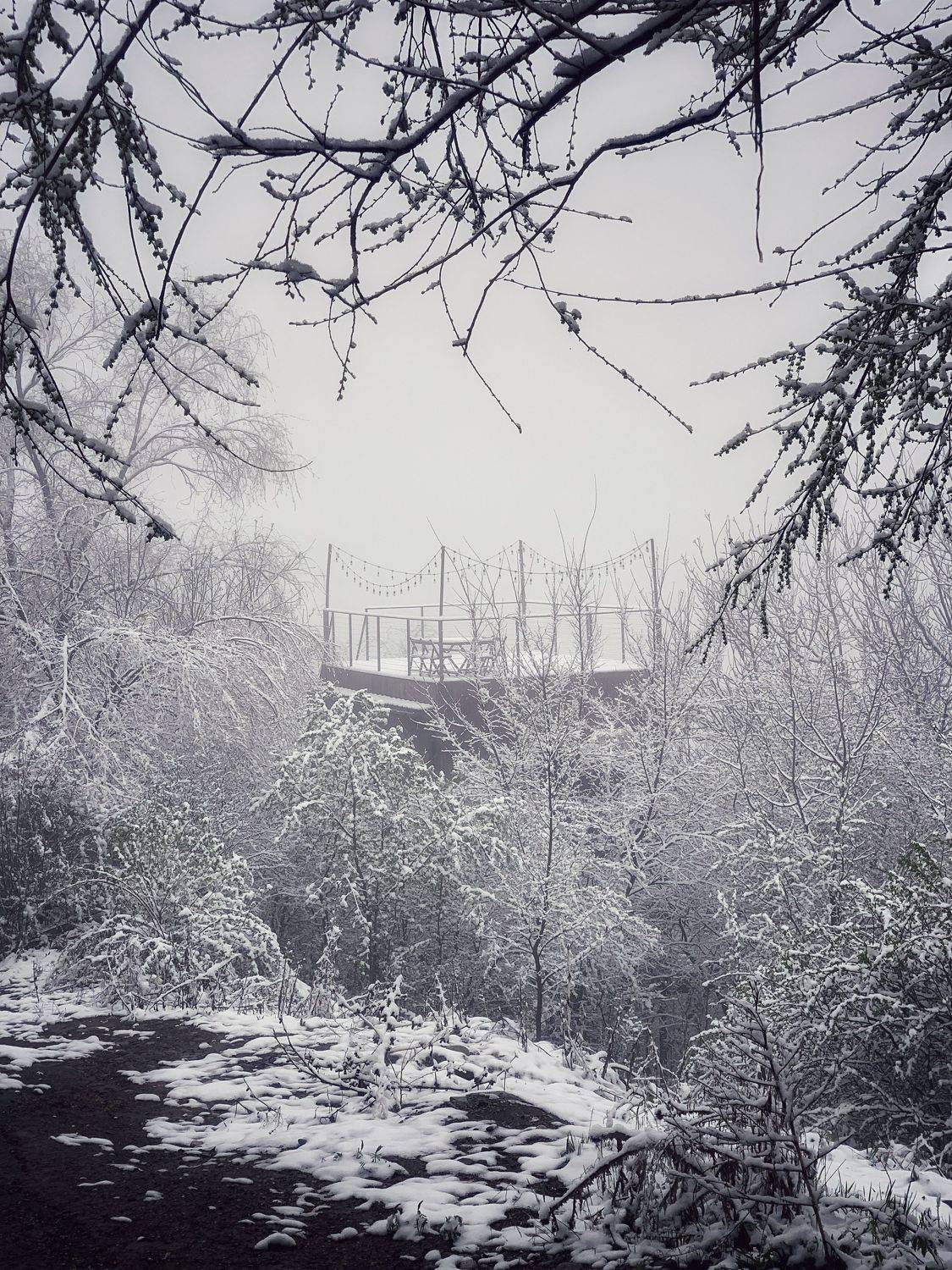 , Швец Павел