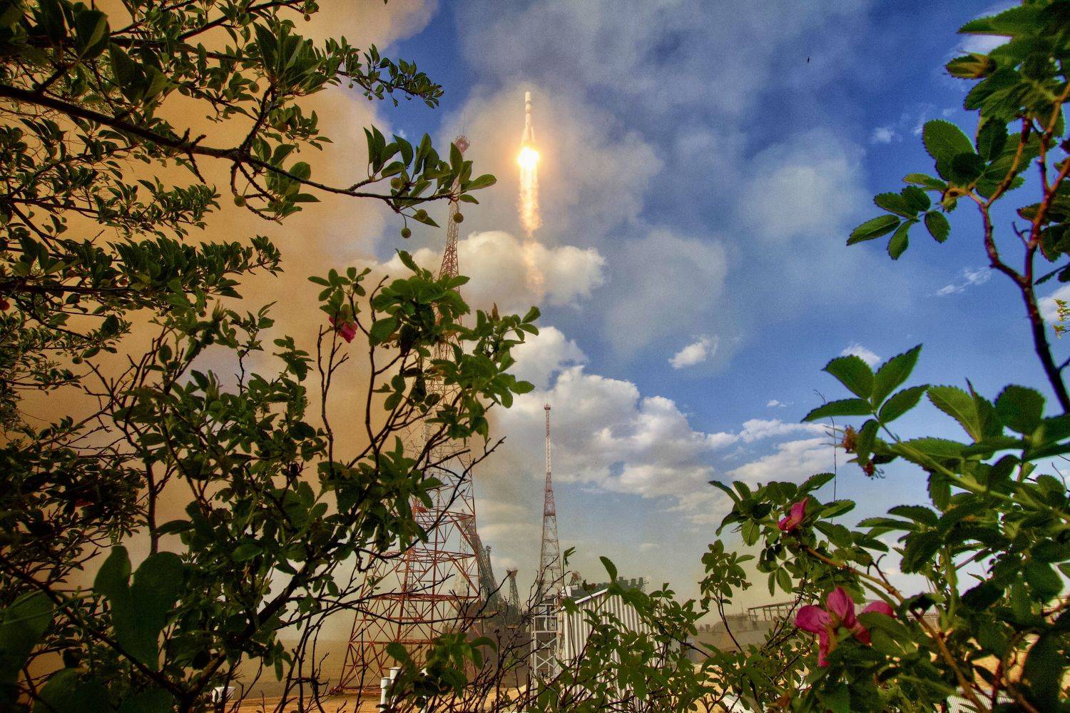 , Швец Павел