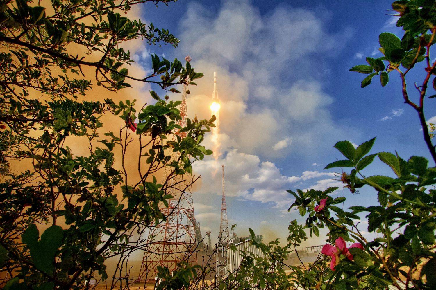 , Швец Павел