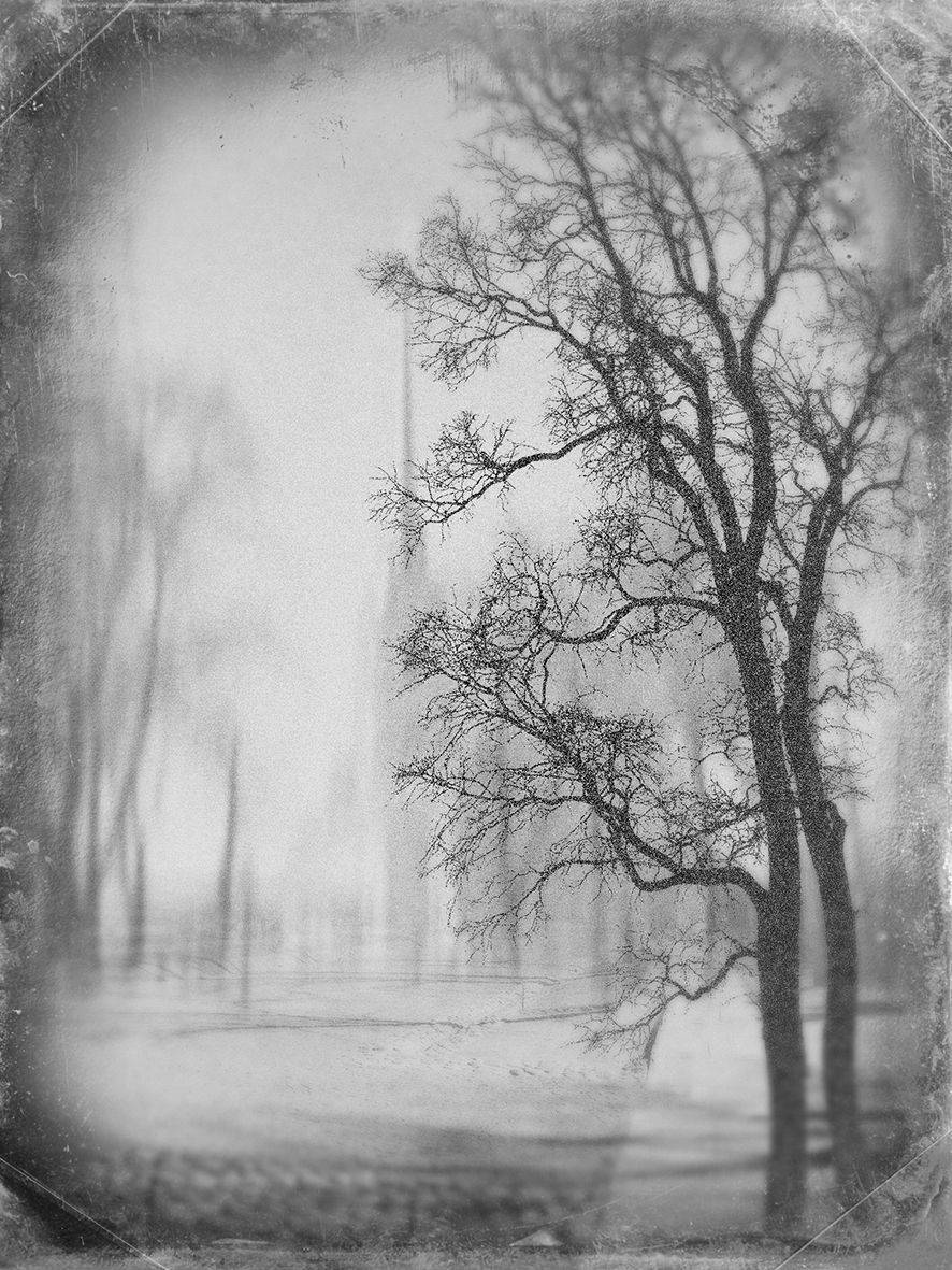 , T. Bondarenko