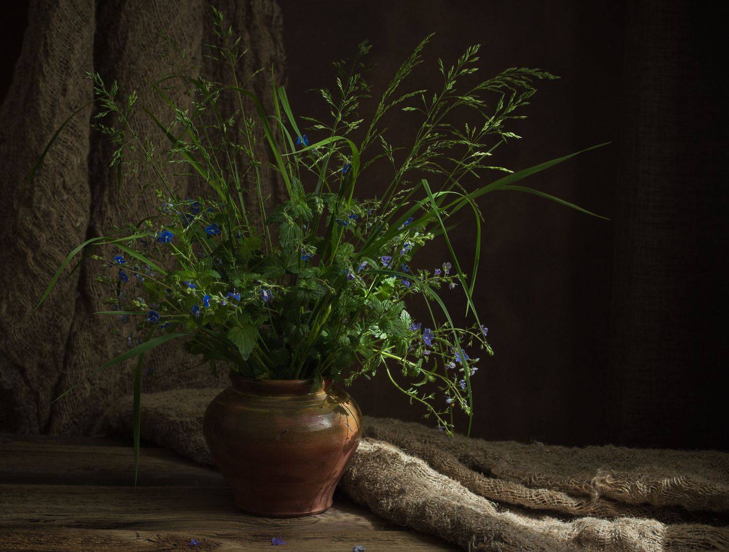 , Хвойнова Елена