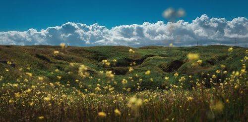 Аджимушкай: вознесение прошлого.