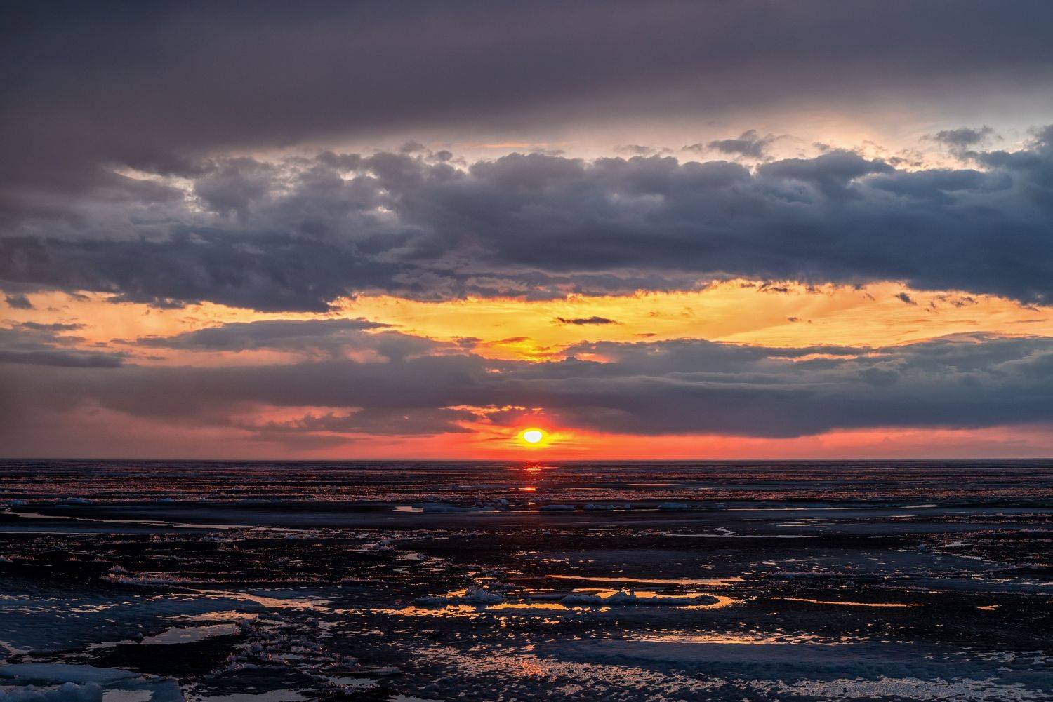 , Виктор Желенговский