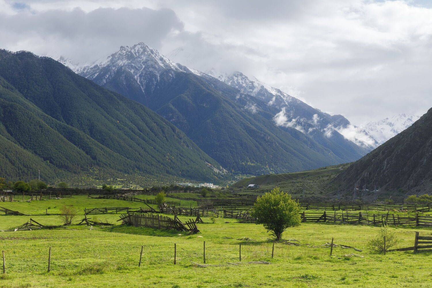 горы, туман, дерево, пейзаж, кавказ, кчр, весна, mountains, hiking, landscape, tree, fog, Чаланов Иван