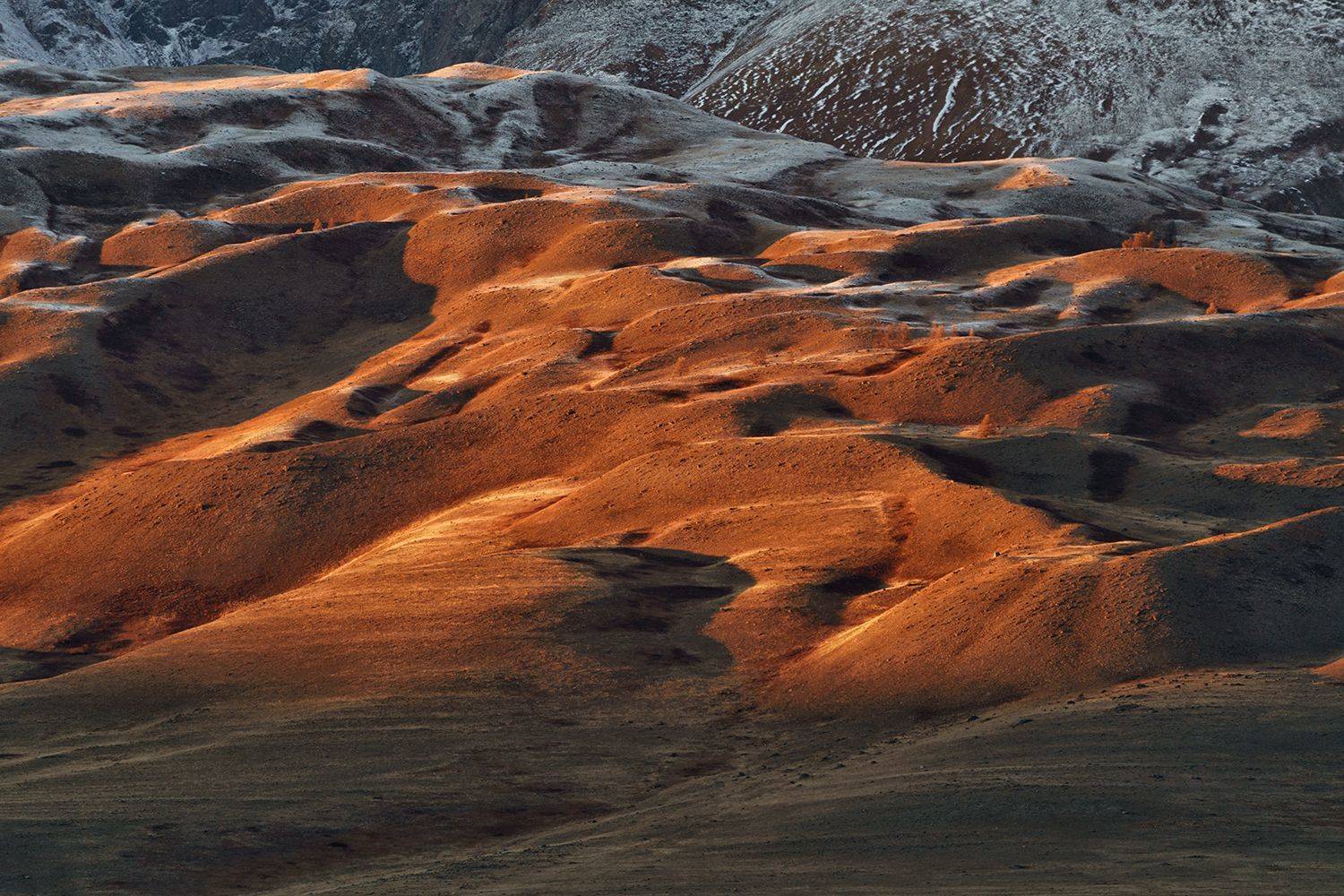 Россия, Алтай,горы, рассвет, природа, пейзаж, Лариса Дука